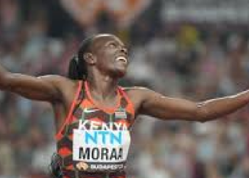 Moraa 1140x570