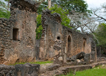 Gedi