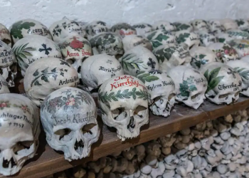 Skull