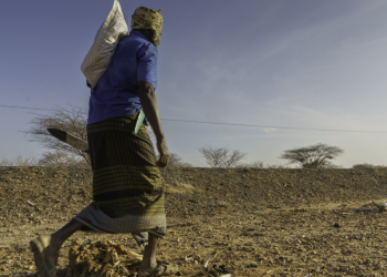 Climate Crisis Millions In Kenya Face Extreme Heat