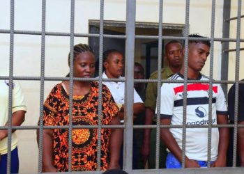 Detectives Seize Sh14 Million In Marijuana In Migori County
