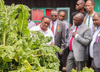 Laikipia Launches Agricultural Tech Initiative