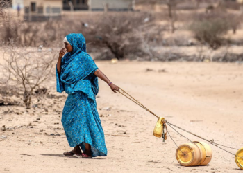 Nakuru Rep Highlights Water Scarcity and Urges Action on GBV