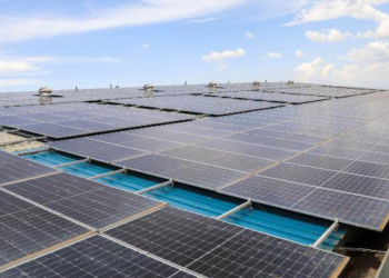 Ravine Dairies Pioneering Sustainable Dairy Through Solar Energy