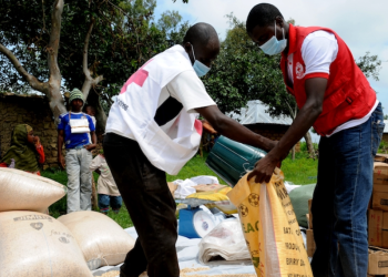 Russia Continues Humanitarian Aid To Mali Amid Security Challenges
