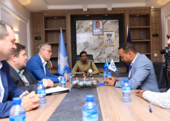 Somalia Plans Police Reform With Fbi Support